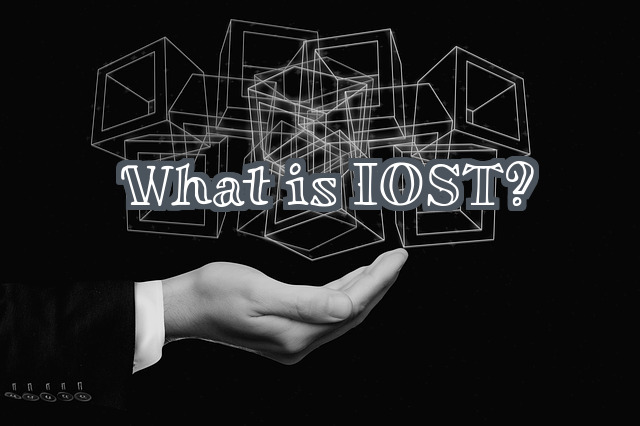 What is IOST?